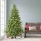 7.5ft. Pre-Lit Miracle Shape™ Alberta Spruce Artificial Christmas Tree, Dual-Color LED Lights